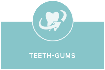 Teeth and Gums